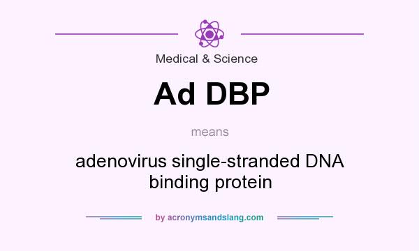 What does Ad DBP mean? It stands for adenovirus single-stranded DNA binding protein