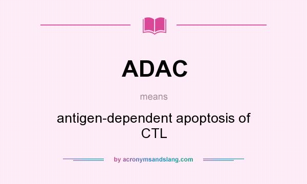 What does ADAC mean? It stands for antigen-dependent apoptosis of CTL