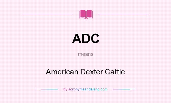 What does ADC mean? It stands for American Dexter Cattle