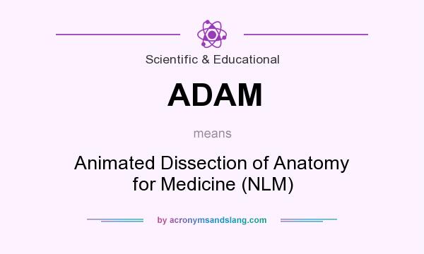 What does ADAM mean? It stands for Animated Dissection of Anatomy for Medicine (NLM)