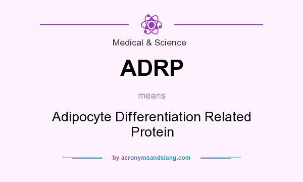 What does ADRP mean? It stands for Adipocyte Differentiation Related Protein