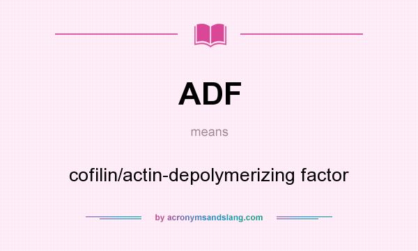 What does ADF mean? It stands for cofilin/actin-depolymerizing factor