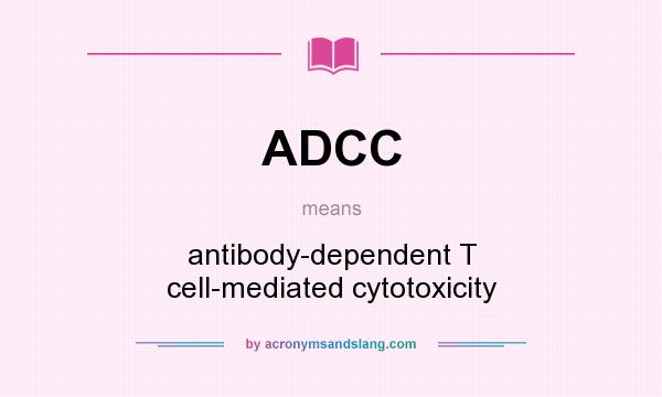 What does ADCC mean? It stands for antibody-dependent T cell-mediated cytotoxicity