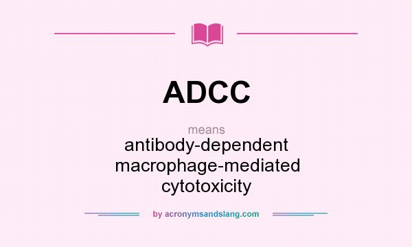 What does ADCC mean? It stands for antibody-dependent macrophage-mediated cytotoxicity