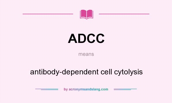 What does ADCC mean? It stands for antibody-dependent cell cytolysis