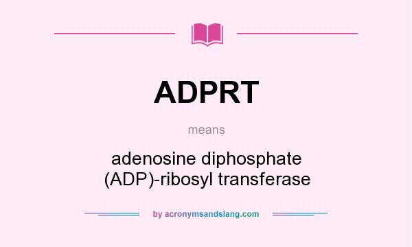 What does ADPRT mean? It stands for adenosine diphosphate (ADP)-ribosyl transferase