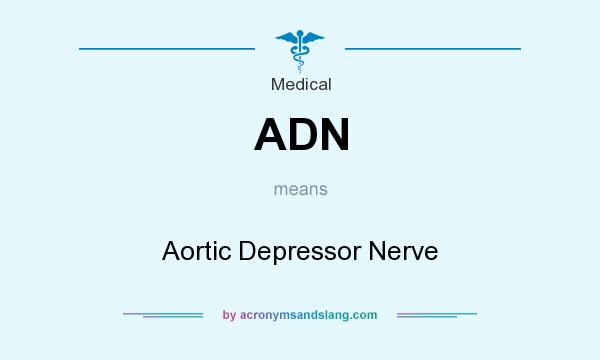 What does ADN mean? It stands for Aortic Depressor Nerve