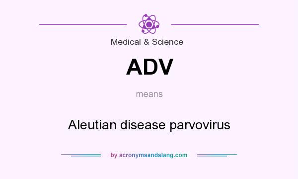 What does ADV mean? It stands for Aleutian disease parvovirus