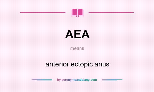 What does AEA mean? It stands for anterior ectopic anus