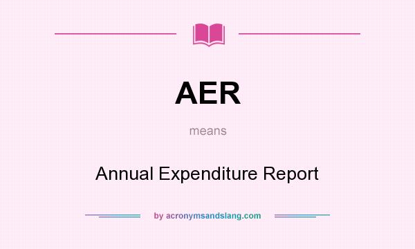 What does AER mean? It stands for Annual Expenditure Report