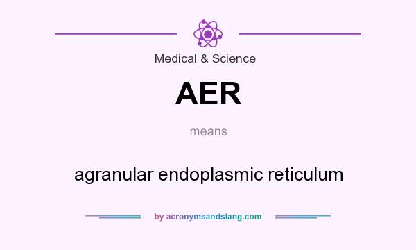 What does AER mean? It stands for agranular endoplasmic reticulum