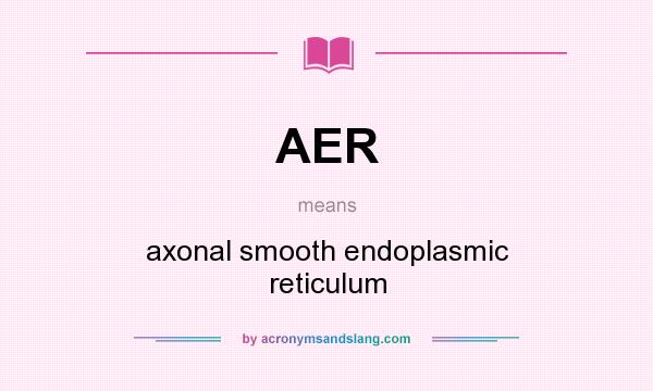What does AER mean? It stands for axonal smooth endoplasmic reticulum