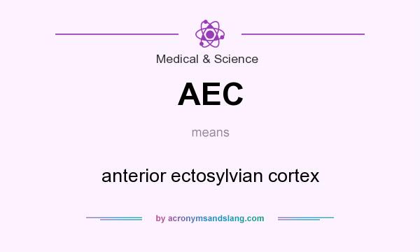What does AEC mean? It stands for anterior ectosylvian cortex