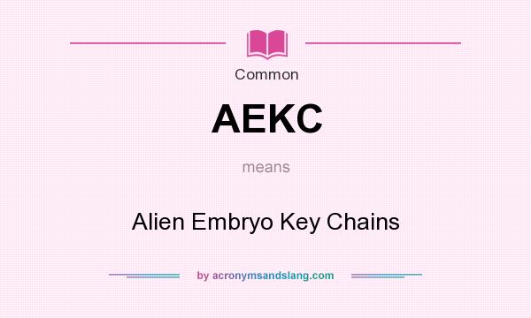 What does AEKC mean? It stands for Alien Embryo Key Chains