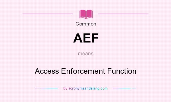 What does AEF mean? It stands for Access Enforcement Function
