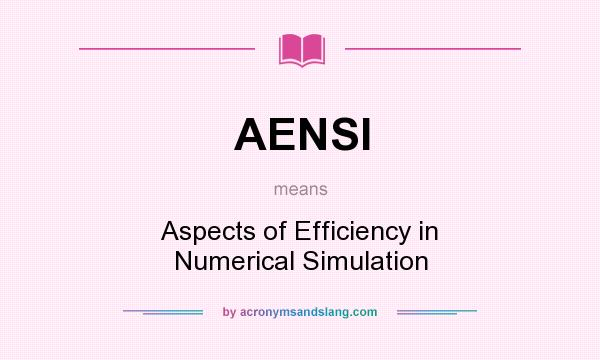 What does AENSI mean? It stands for Aspects of Efficiency in Numerical Simulation