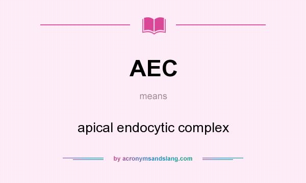 What does AEC mean? It stands for apical endocytic complex