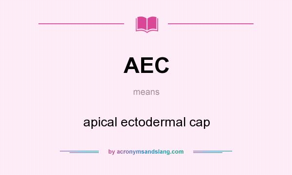 What does AEC mean? It stands for apical ectodermal cap