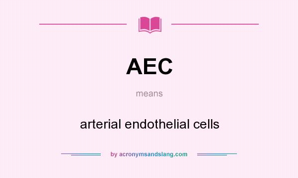 What does AEC mean? It stands for arterial endothelial cells