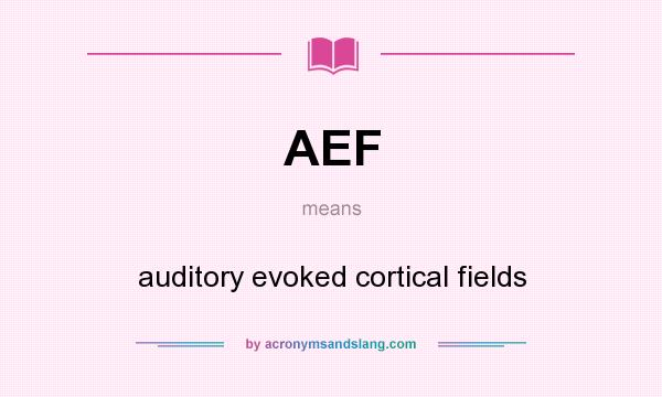What does AEF mean? It stands for auditory evoked cortical fields