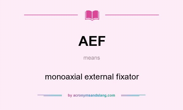 What does AEF mean? It stands for monoaxial external fixator