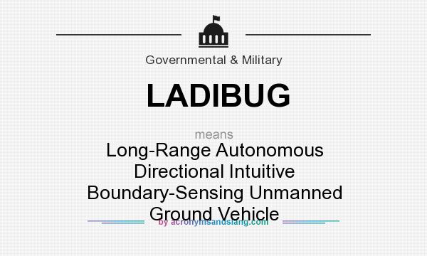 What does LADIBUG mean? It stands for Long-Range Autonomous Directional Intuitive Boundary-Sensing Unmanned Ground Vehicle