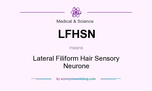 What does LFHSN mean? It stands for Lateral Filiform Hair Sensory Neurone