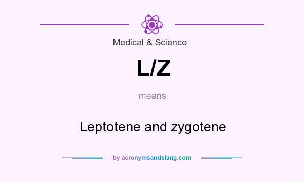 What does L/Z mean? It stands for Leptotene and zygotene