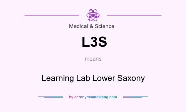 What does L3S mean? It stands for Learning Lab Lower Saxony