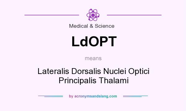 What does LdOPT mean? It stands for Lateralis Dorsalis Nuclei Optici Principalis Thalami