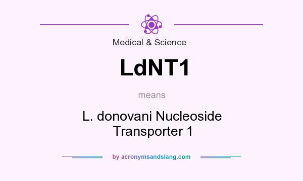 What does LdNT1 mean? It stands for L. donovani Nucleoside Transporter 1