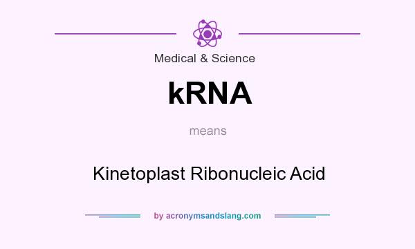 What does kRNA mean? It stands for Kinetoplast Ribonucleic Acid