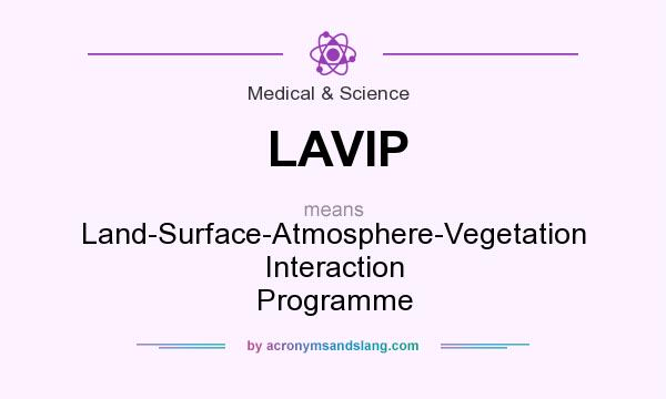 What does LAVIP mean? It stands for Land-Surface-Atmosphere-Vegetation Interaction Programme