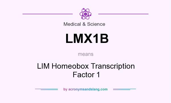 What does LMX1B mean? It stands for LIM Homeobox Transcription Factor 1