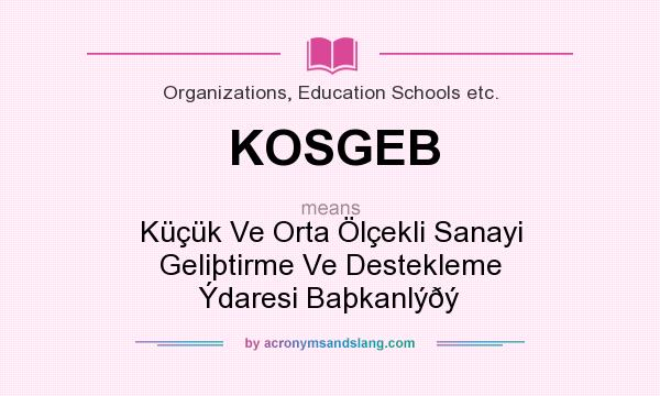 What does KOSGEB mean? It stands for Küçük Ve Orta Ölçekli Sanayi Geliþtirme Ve Destekleme Ýdaresi Baþkanlýðý
