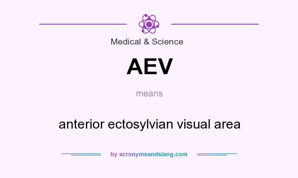 What does AEV mean? It stands for anterior ectosylvian visual area