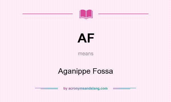 What does AF mean? It stands for Aganippe Fossa