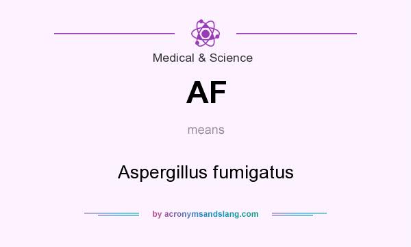 What does AF mean? It stands for Aspergillus fumigatus