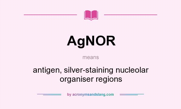 What does AgNOR mean? It stands for antigen, silver-staining nucleolar organiser regions