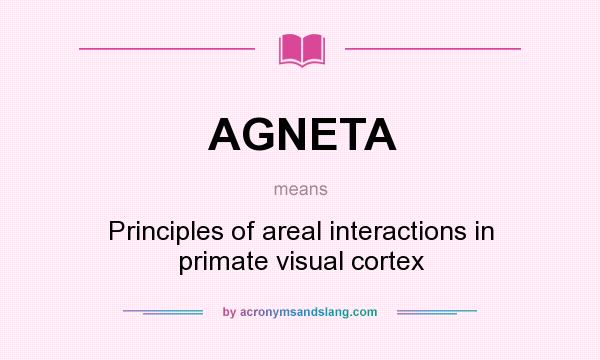 What does AGNETA mean? It stands for Principles of areal interactions in primate visual cortex