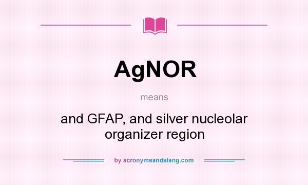 What does AgNOR mean? It stands for and GFAP, and silver nucleolar organizer region