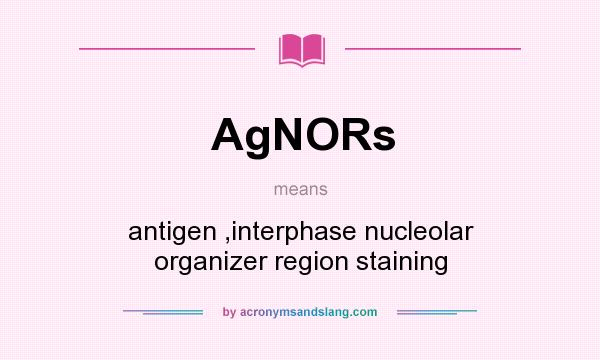 What does AgNORs mean? It stands for antigen ,interphase nucleolar organizer region staining