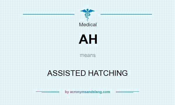 What does AH mean? It stands for ASSISTED HATCHING