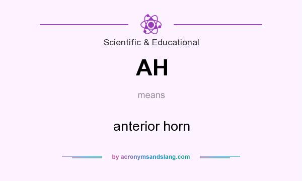 What does AH mean? It stands for anterior horn