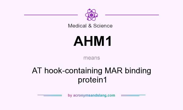 What does AHM1 mean? It stands for AT hook-containing MAR binding protein1