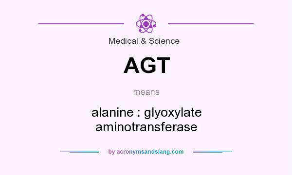 What does AGT mean? It stands for alanine : glyoxylate aminotransferase