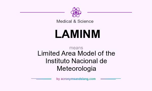 What does LAMINM mean? It stands for Limited Area Model of the Instituto Nacional de Meteorologia