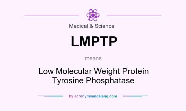 What does LMPTP mean? It stands for Low Molecular Weight Protein Tyrosine Phosphatase