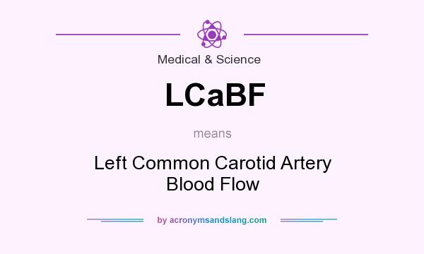What does LCaBF mean? It stands for Left Common Carotid Artery Blood Flow