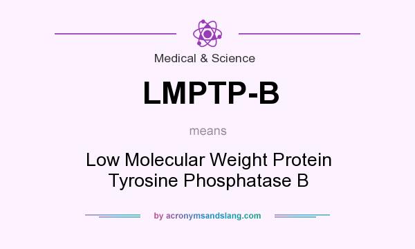 What does LMPTP-B mean? It stands for Low Molecular Weight Protein Tyrosine Phosphatase B